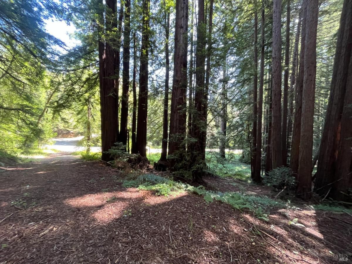 MLS #325102654 img 0