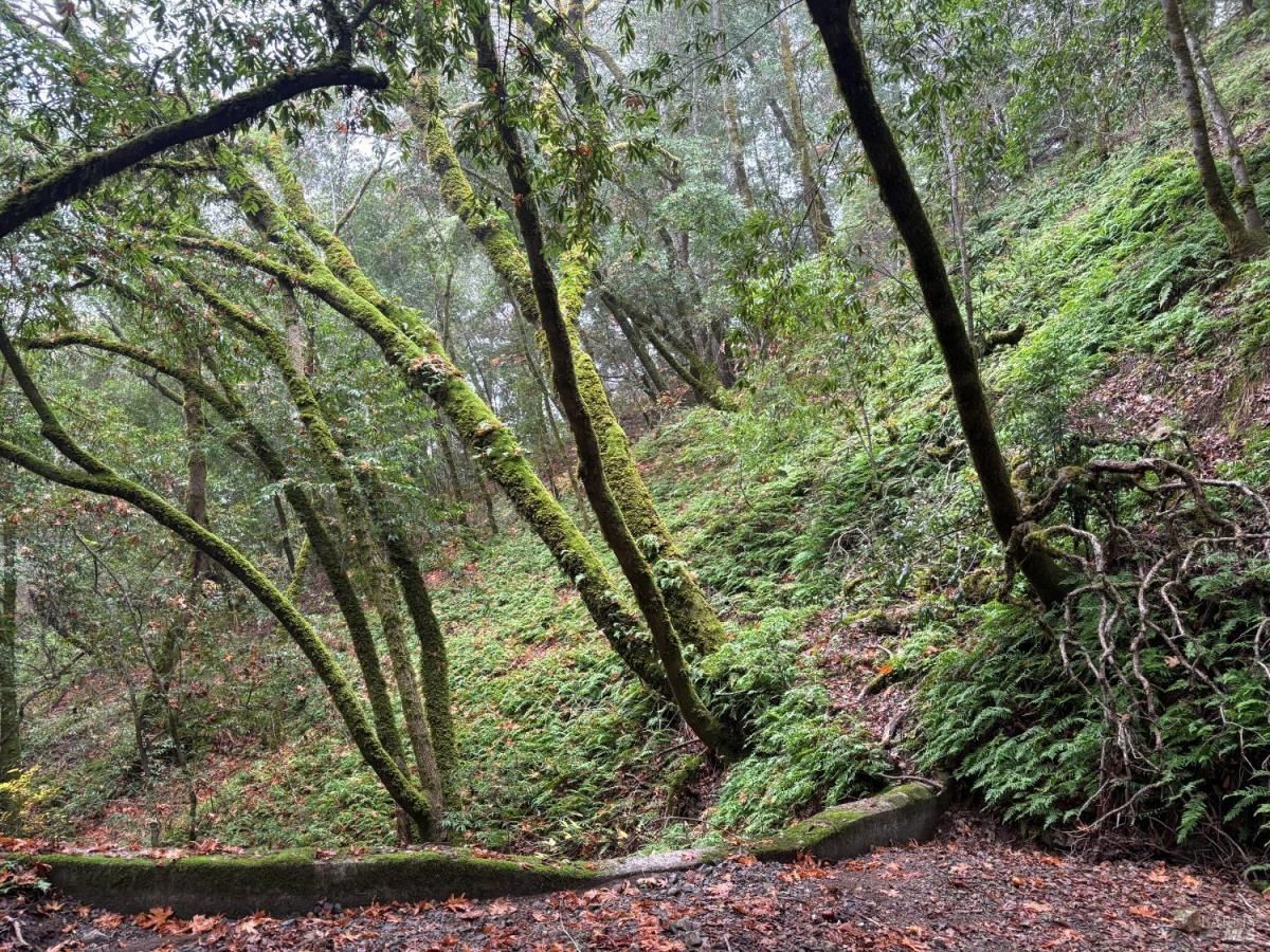 MLS #325102712 img 0