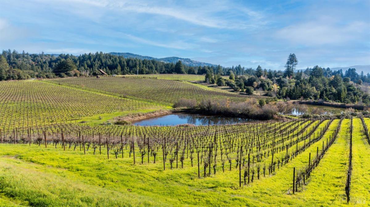 MLS #325102908 img 0