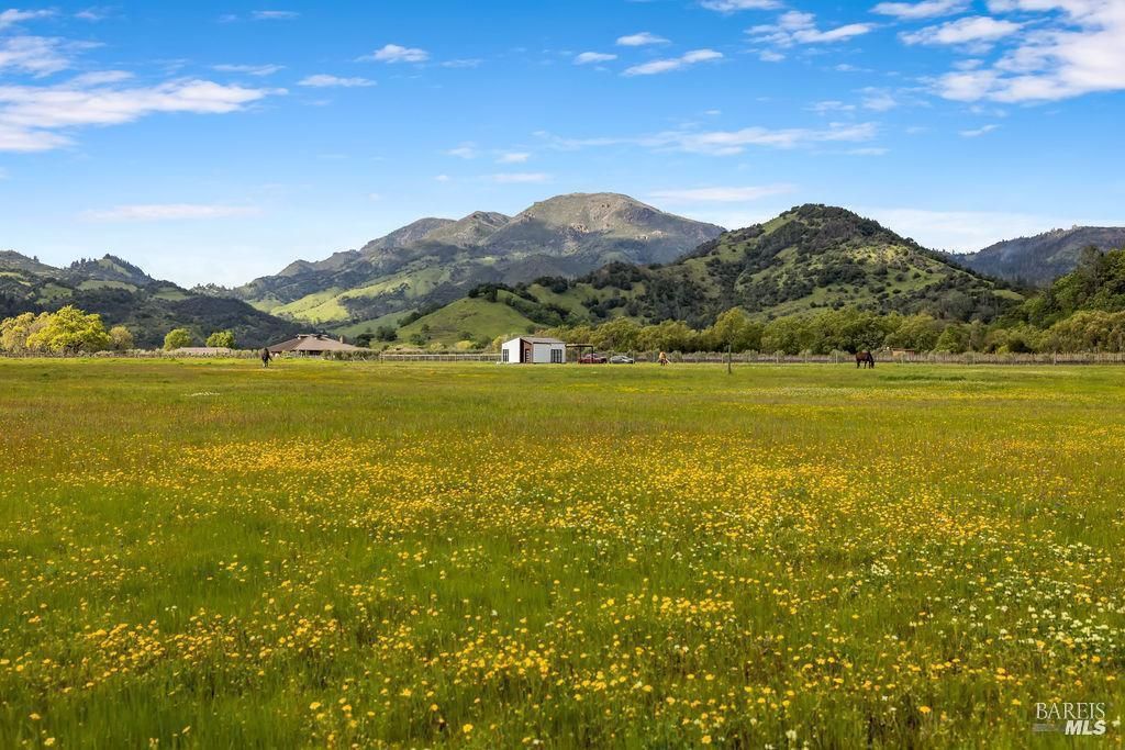 MLS #325104317 img 0