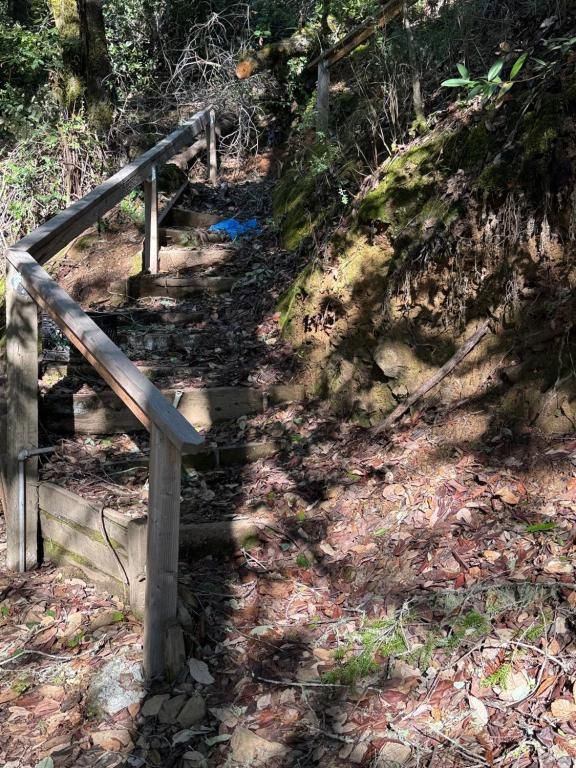 MLS #326000229 img 0