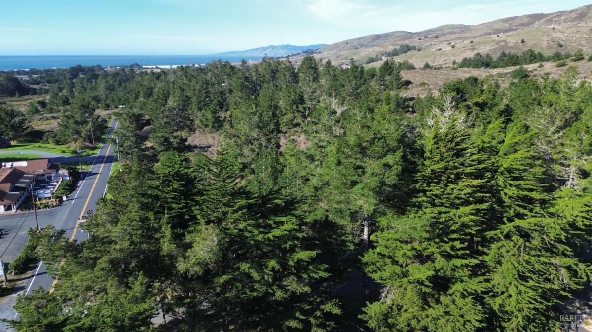 MLS #326000537 img 0