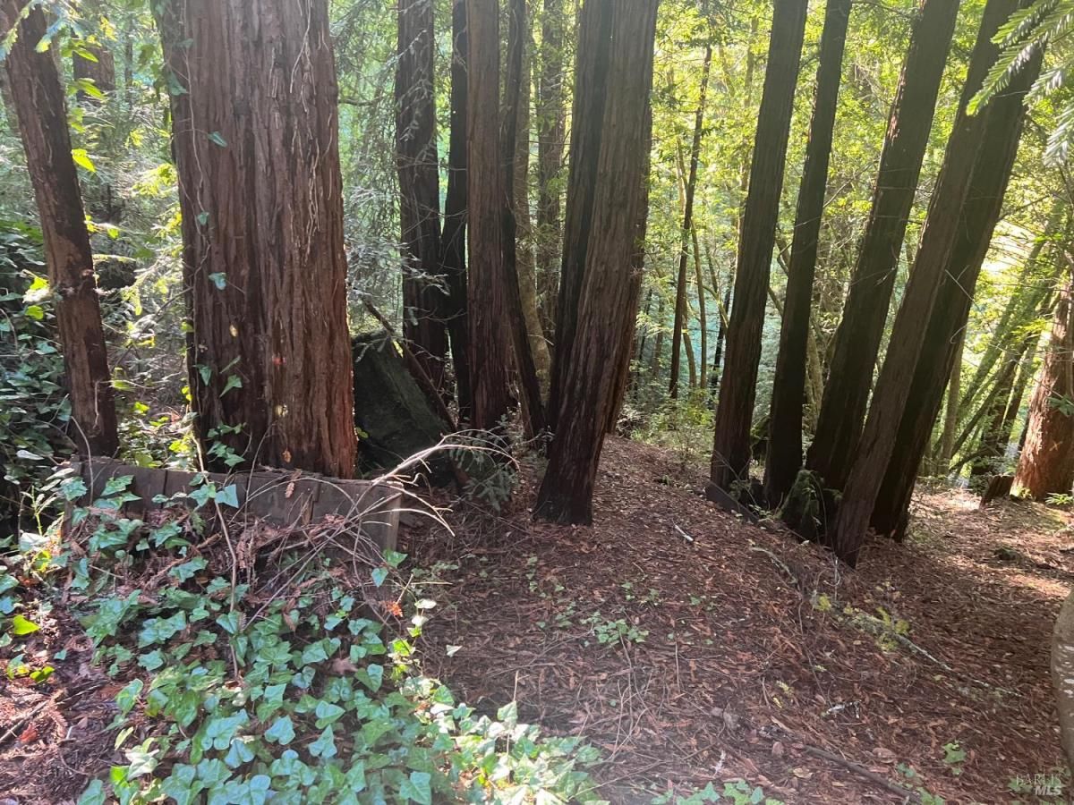 MLS #326001634 img 0