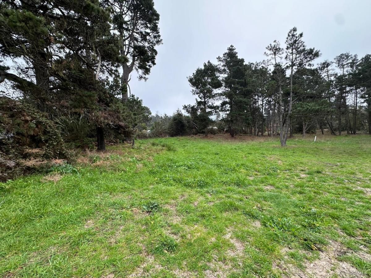 MLS #326004281 img 0