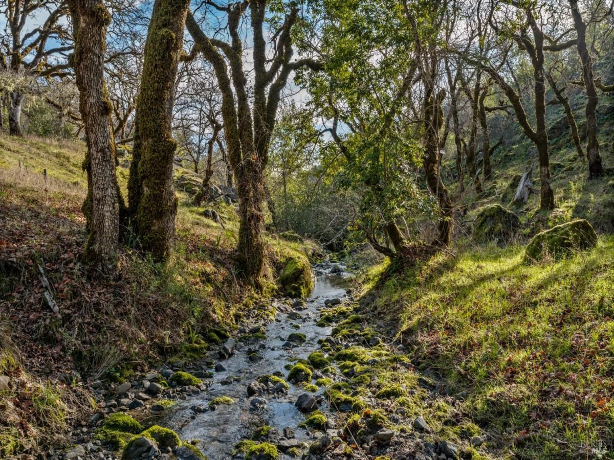 MLS #326005172 img 0