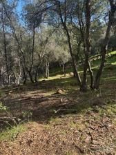 MLS #326005329 img 0