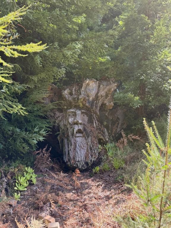 MLS #326005809 img 0