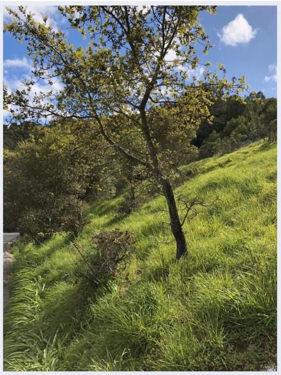 MLS #326011947 img 0