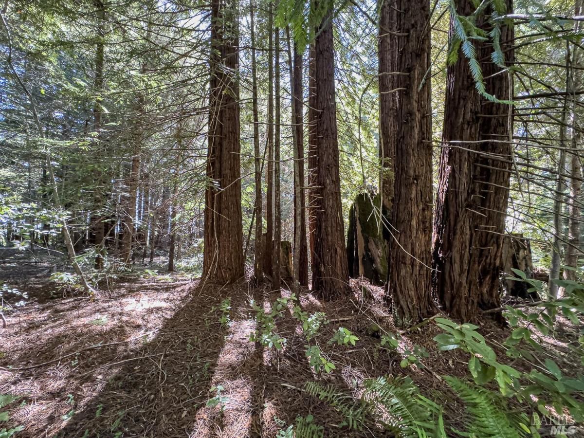 MLS #326013287 img 0