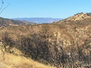 MLS #326013838 img 0