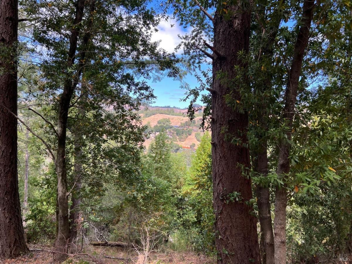 MLS #326015043 img 0