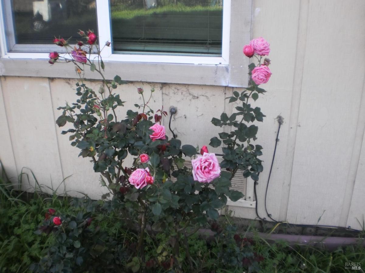 MLS #326019411 img 0