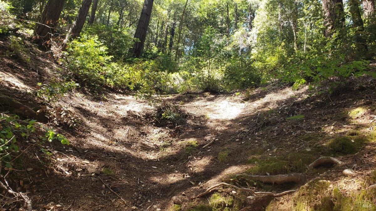 MLS #326019561 img 0