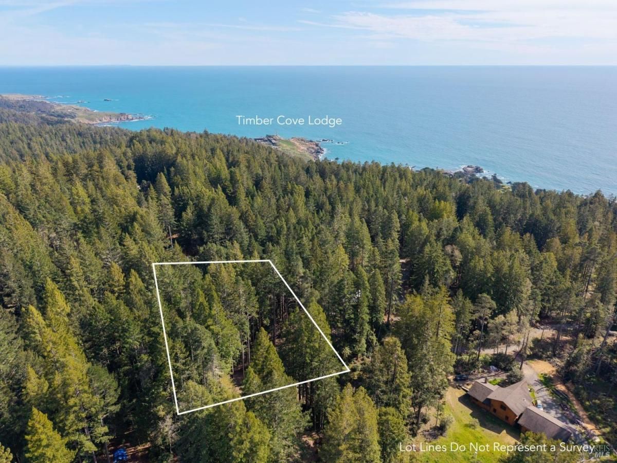 MLS #326021070 img 0