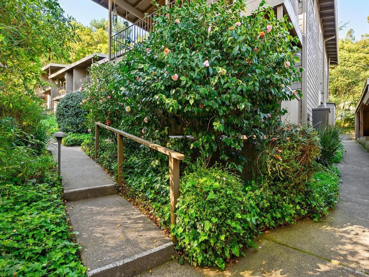 MLS #326022259 img 0