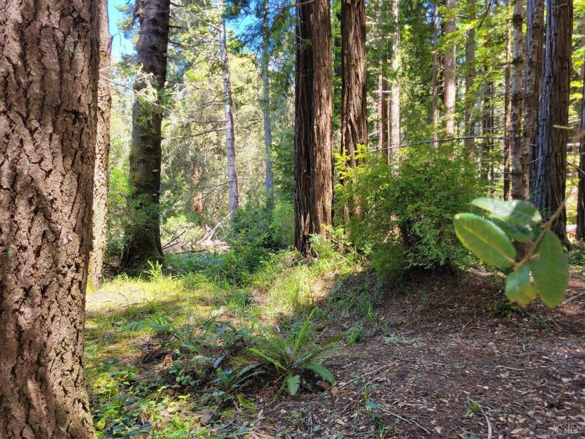 MLS #326023896 img 0