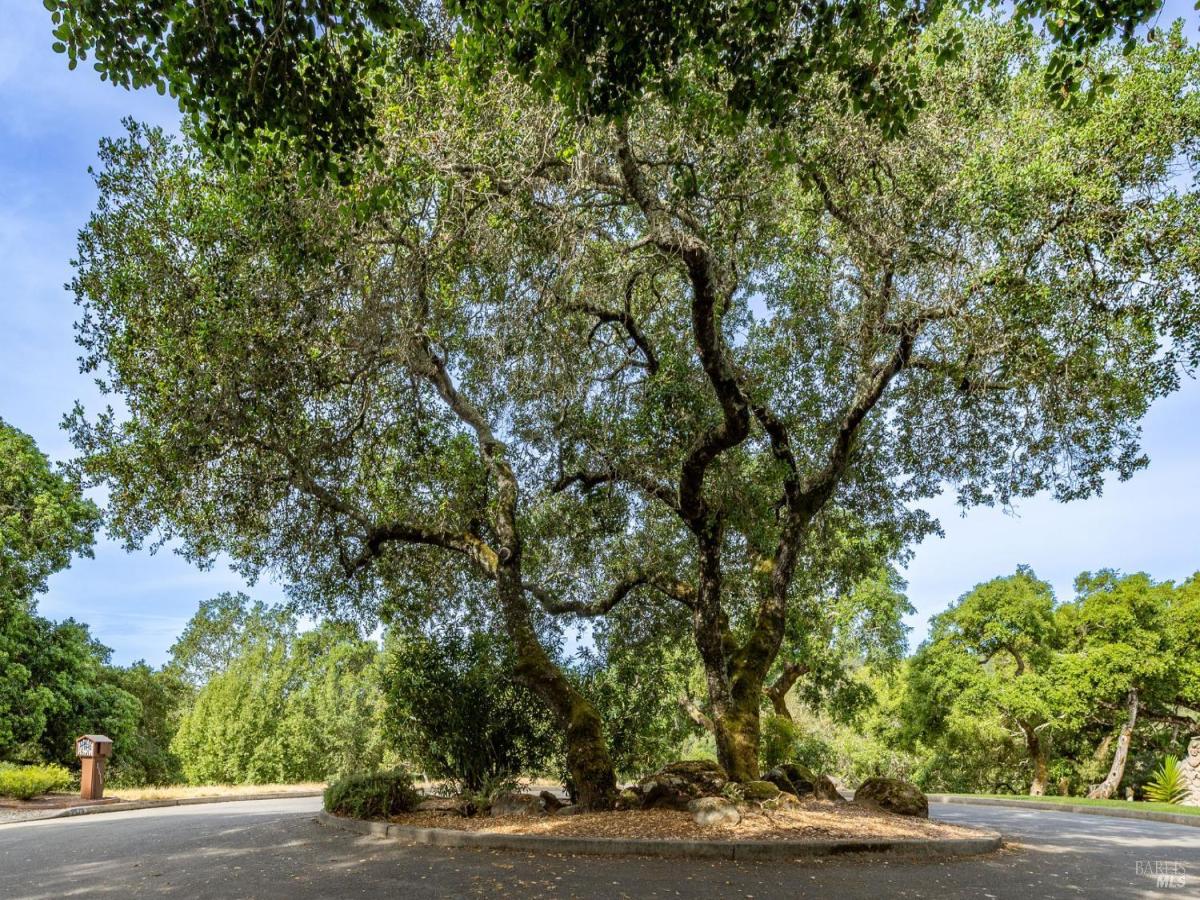 MLS #326026280 img 0