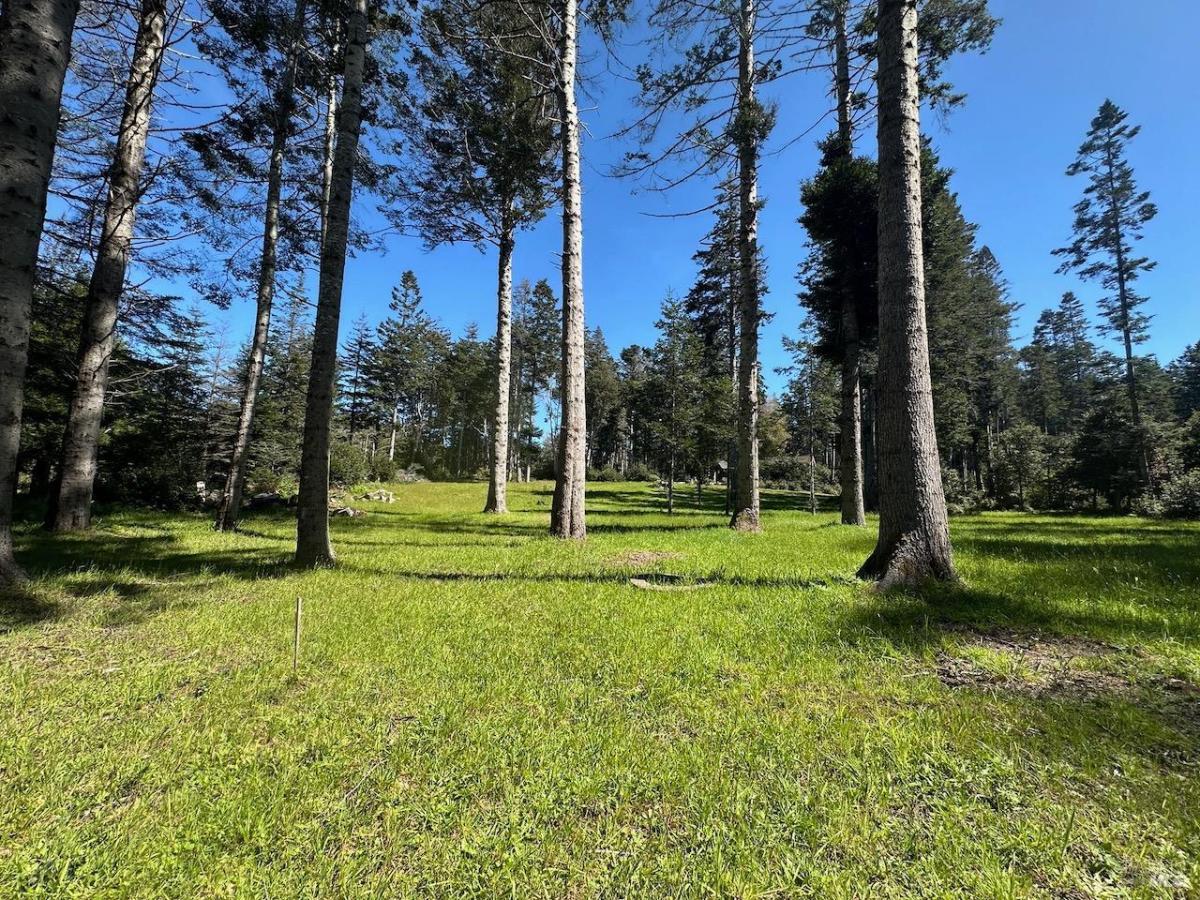 MLS #326028338 img 0