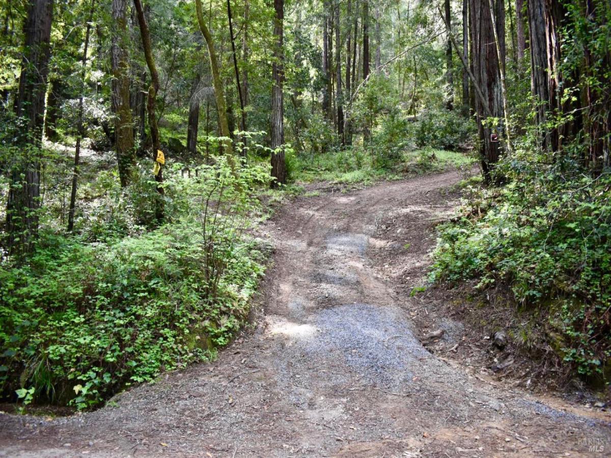 MLS #326029827 img 0