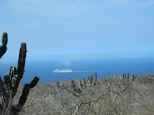 MLS #25-2626 img 0