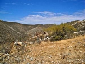 MLS #25-2785 img 0