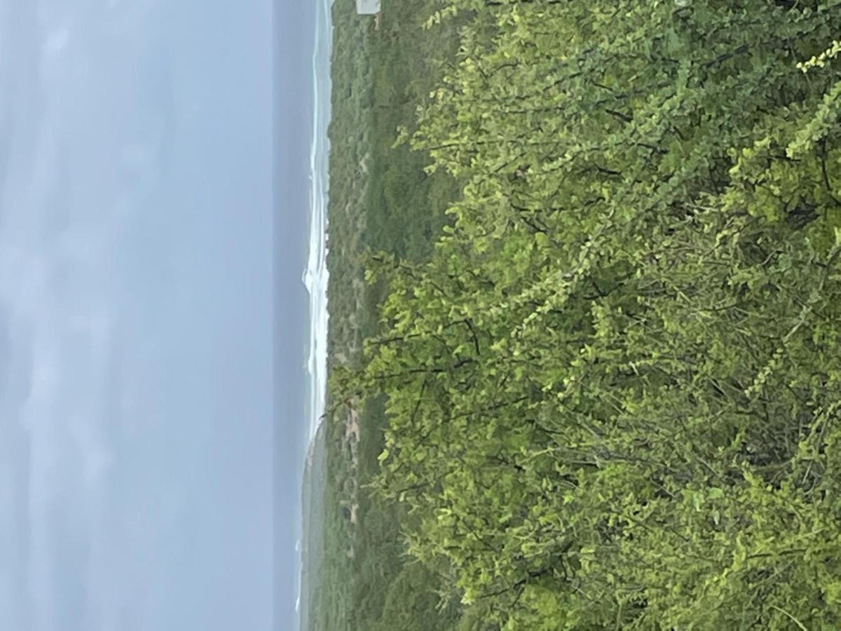MLS #25-2834 img 0