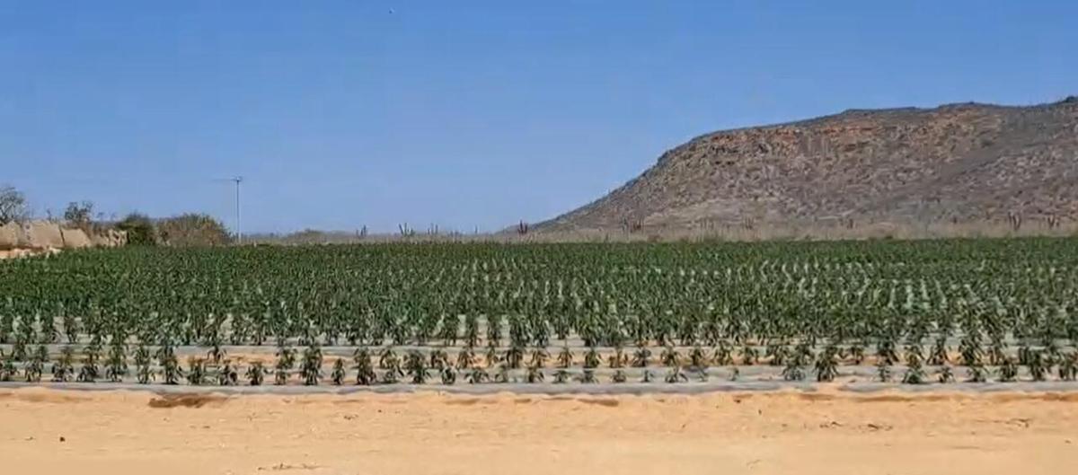 MLS #25-2857 img 0