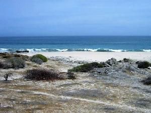 MLS #25-3521 img 0