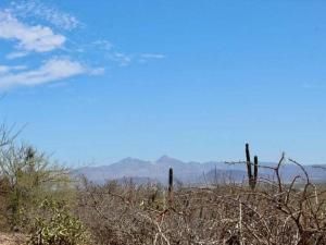 MLS #25-3673 img 0