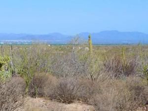 MLS #25-3674 img 0