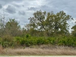 MLS #225022201 img 0