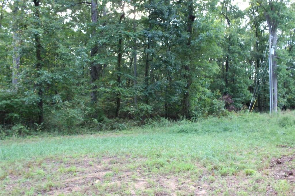 MLS #CAR3906176 img 15