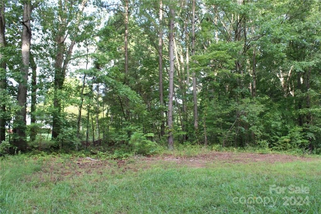 MLS #CAR3906176 img 16