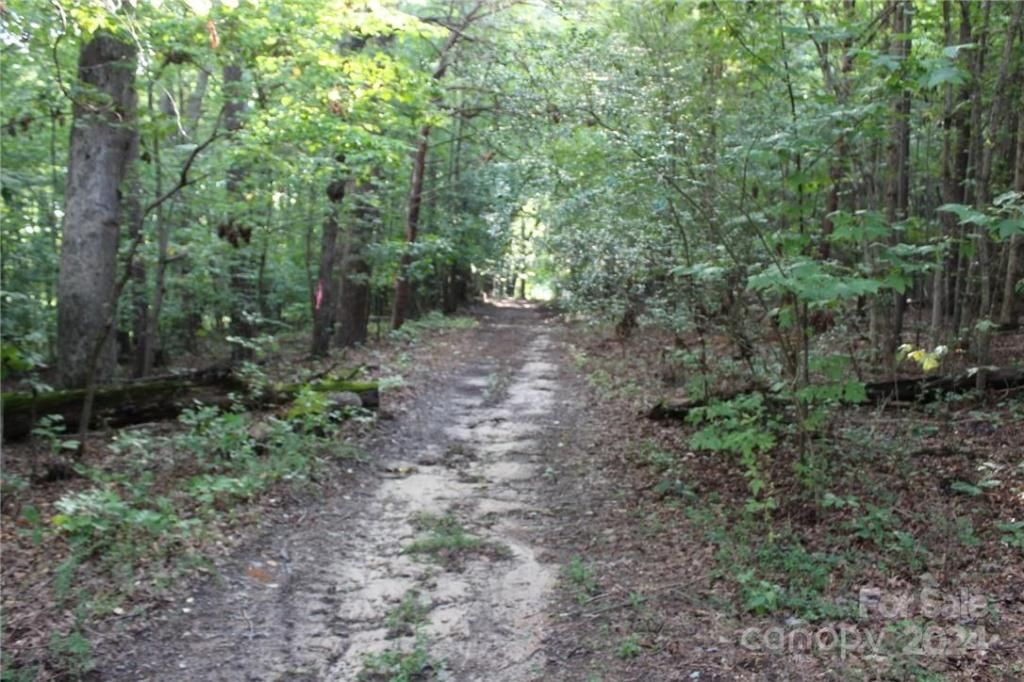 MLS #CAR3906176 img 17