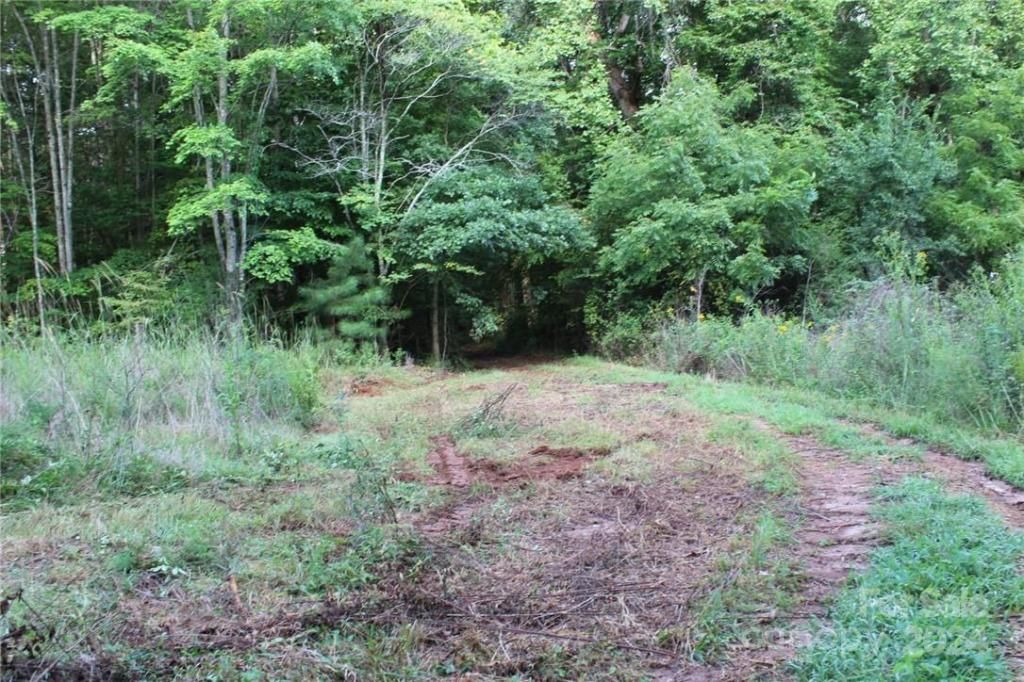 MLS #CAR3906176 img 19