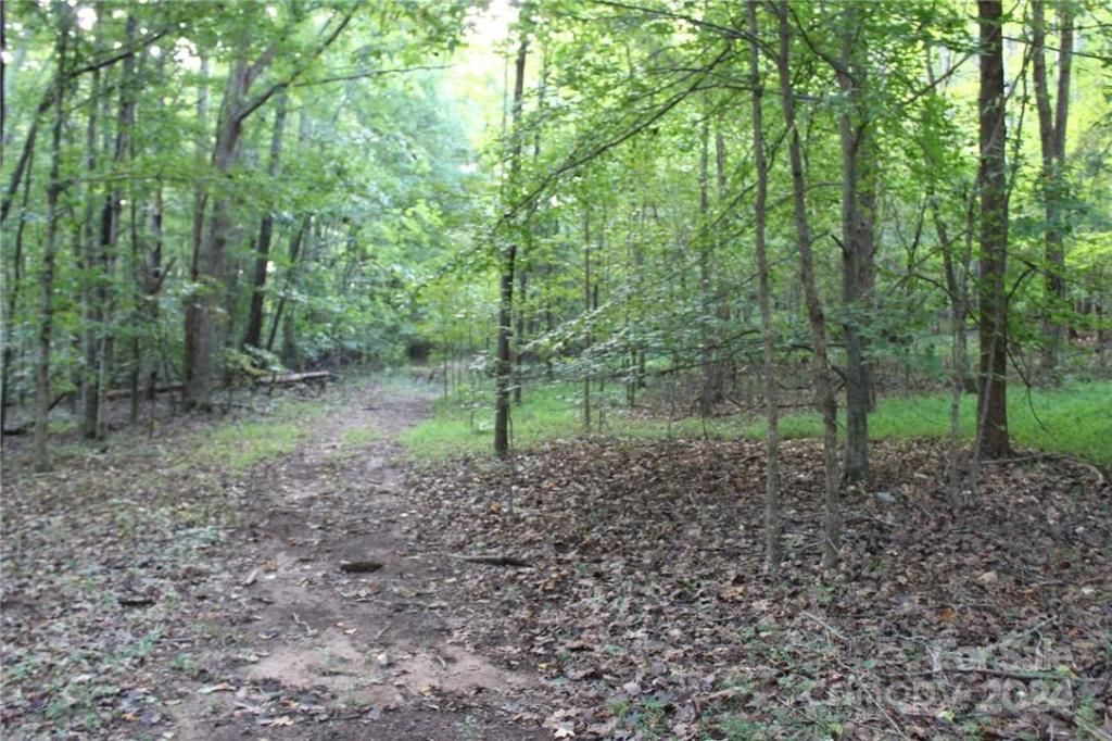 MLS #CAR3906176 img 20