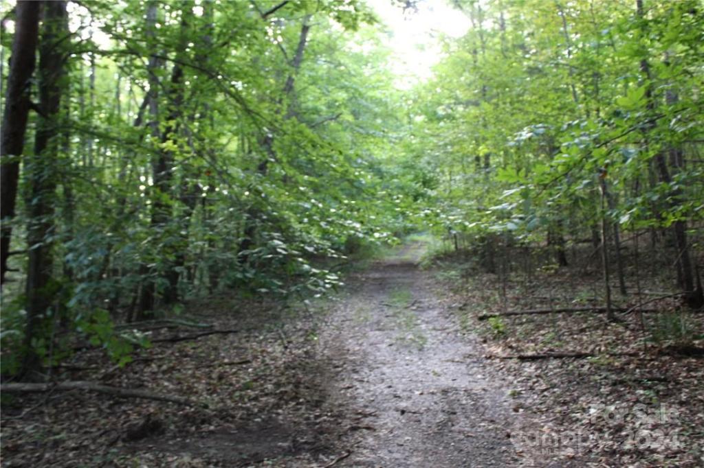 MLS #CAR3906176 img 21