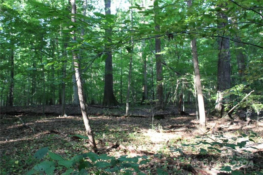 MLS #CAR3906176 img 22