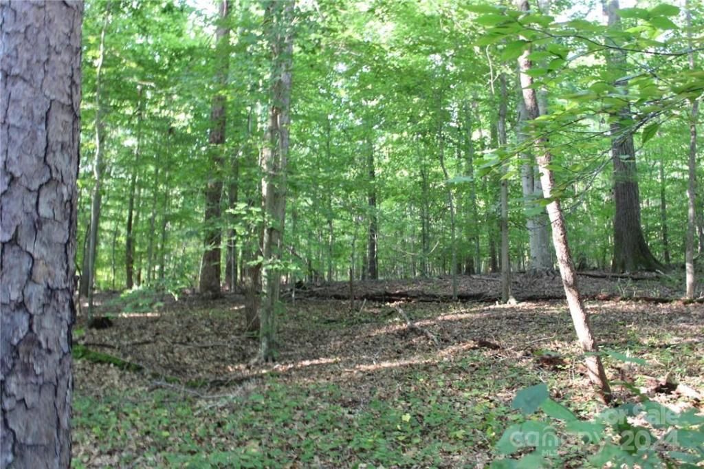 MLS #CAR3906176 img 23