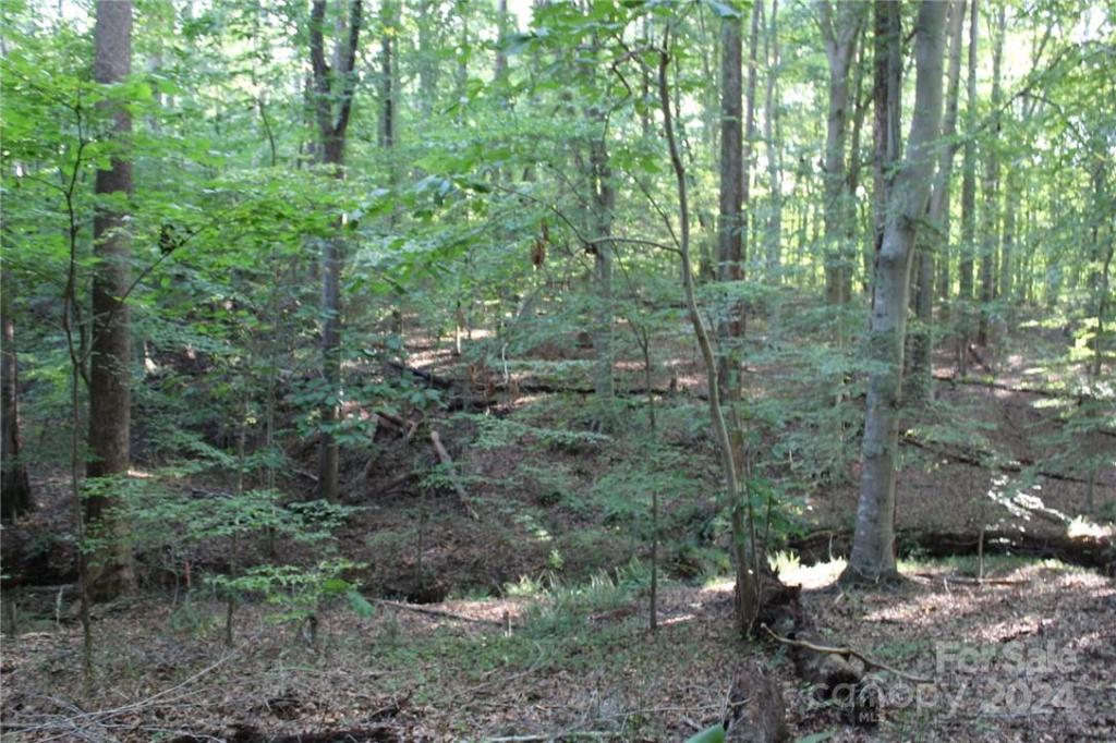 MLS #CAR3906176 img 24