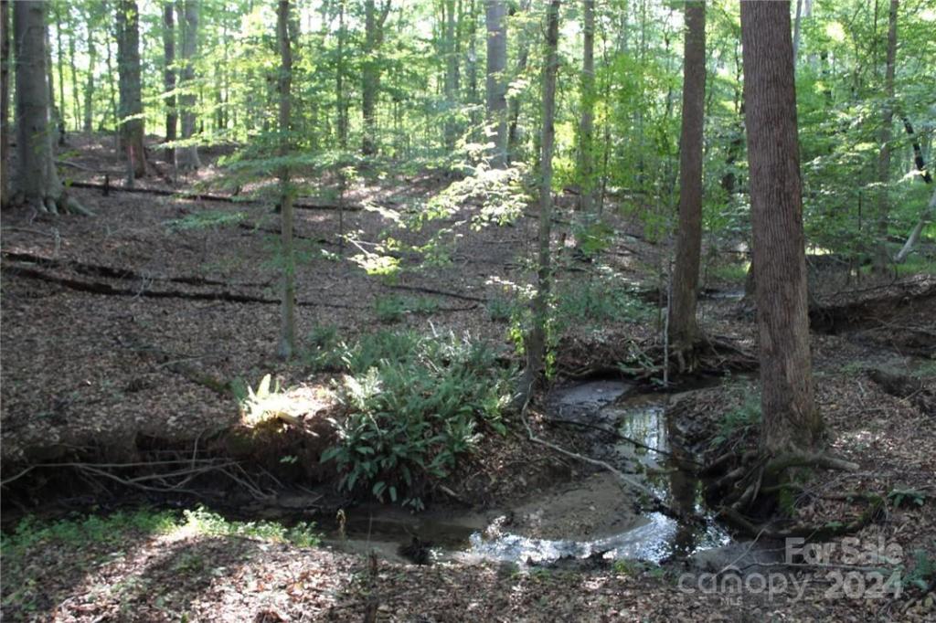 MLS #CAR3906176 img 25