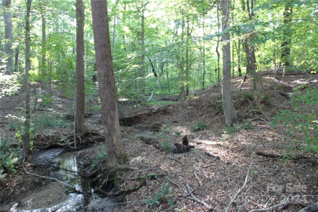 MLS #CAR3906176 img 26