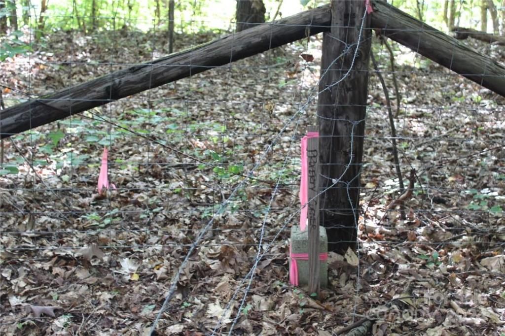 MLS #CAR3906176 img 28