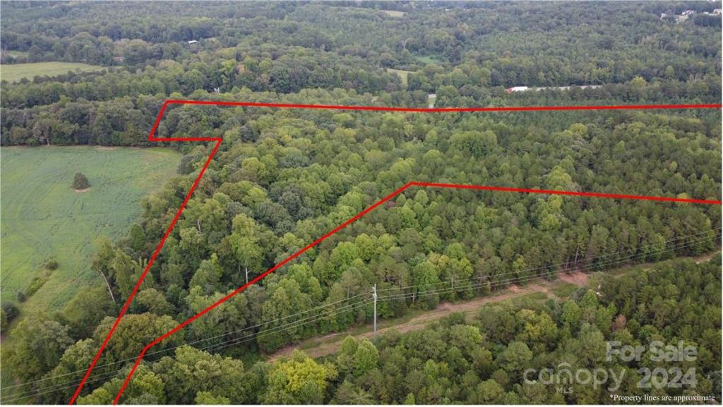 MLS #CAR3906176 img 3