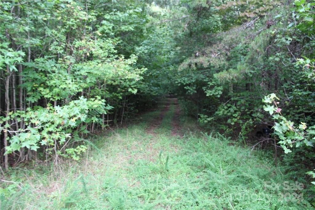 MLS #CAR3906176 img 33