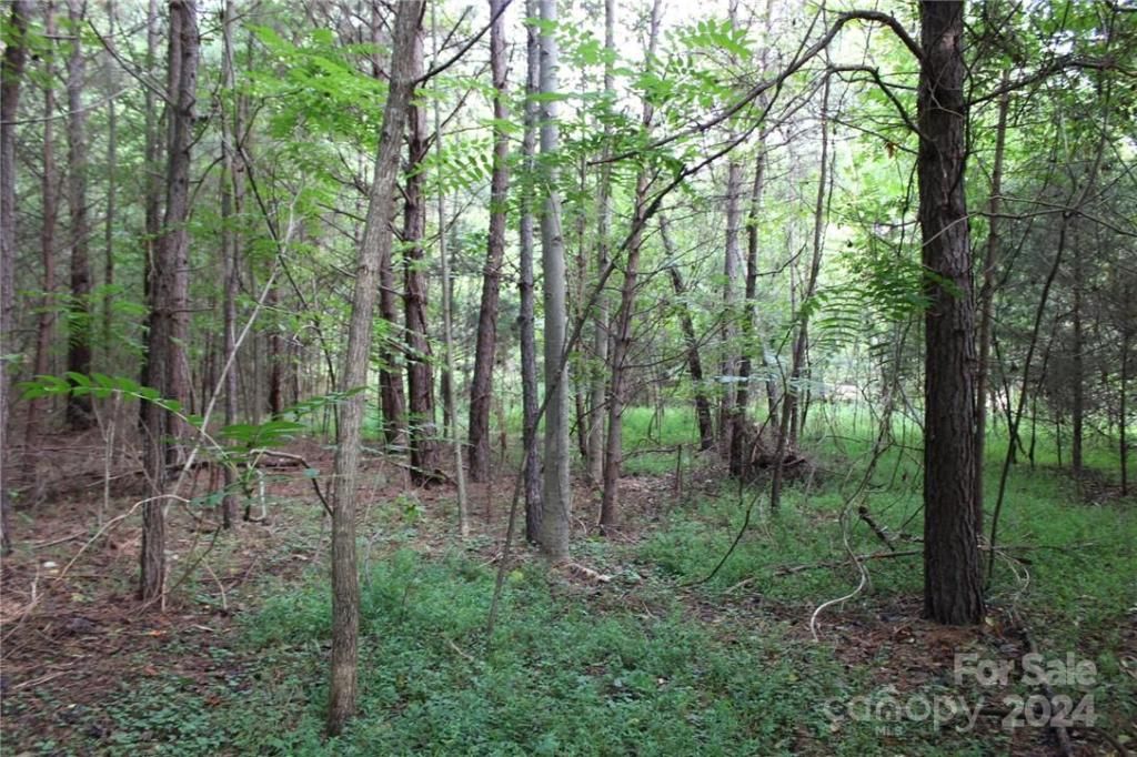 MLS #CAR3906176 img 34