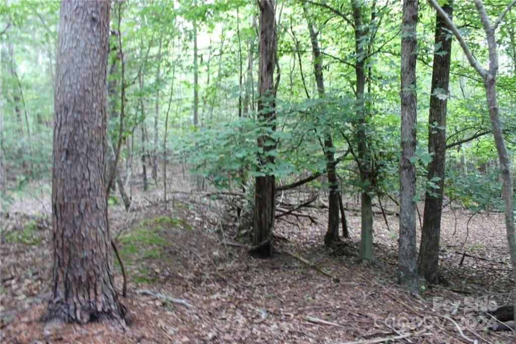 MLS #CAR3906176 img 35