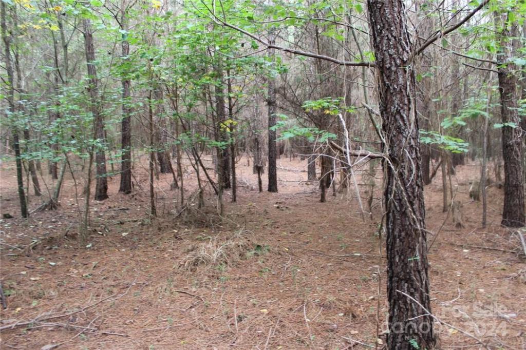 MLS #CAR3906176 img 36