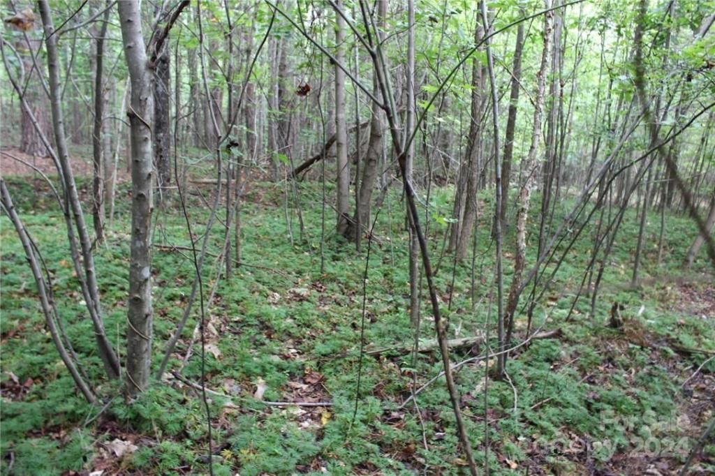 MLS #CAR3906176 img 37