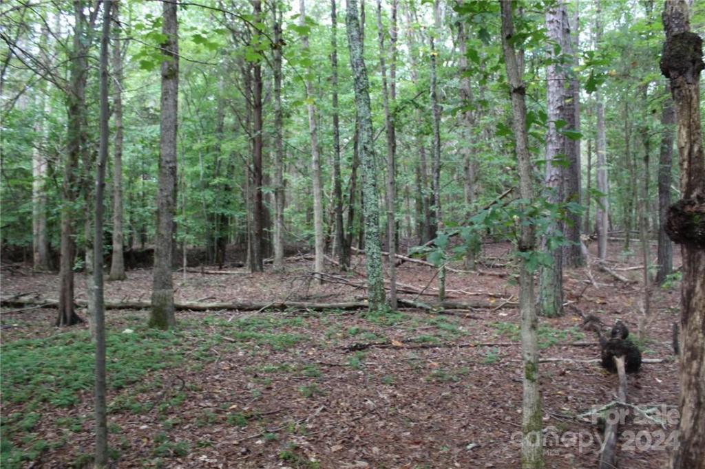 MLS #CAR3906176 img 38